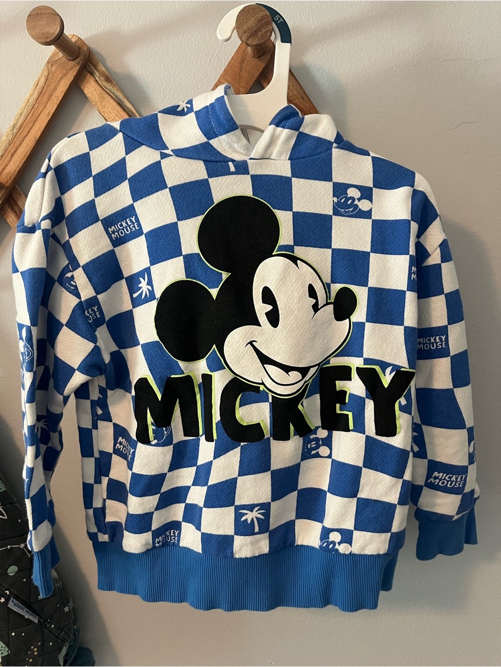 Zara Blue and White Checker Pullover Hoodie